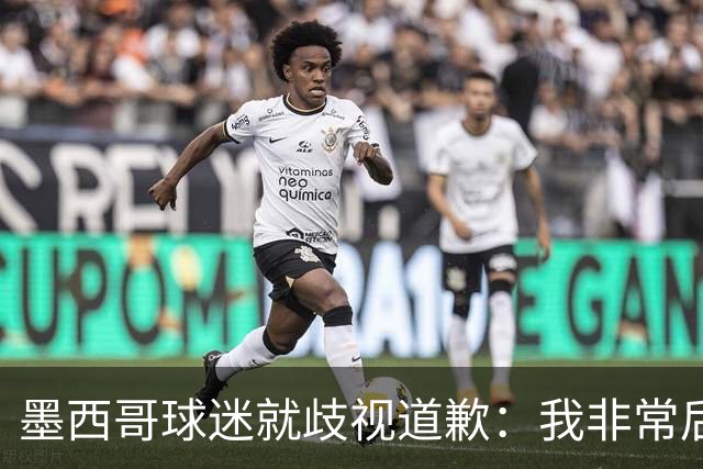 墨西哥球迷就歧视道歉：我非常后悔，已辞去工程师协会职务